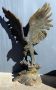 Bronze Eagle Taking Flight Statue, 41.5